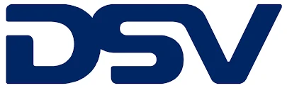 DSV logo