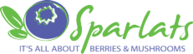 SPARLATS SIA logo