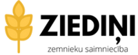 Ziedini ZS  logo