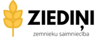 Ziedini ZS  logo