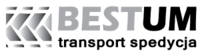 Bestum Anna Czura logo