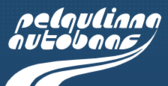 Pelgulinna Autobaas OÜ logo