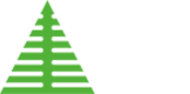 Nett AS logo